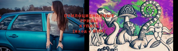 гашик Иннополис